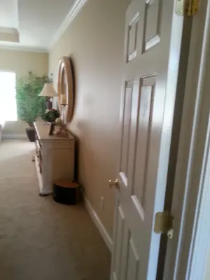 SR210 Interior Decor Painting — House Painting Services project by AAA Advanced Residential Rehab, LLC