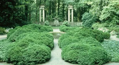 Evercrest Landscape Group - Landscape Construction in Atlanta, GA