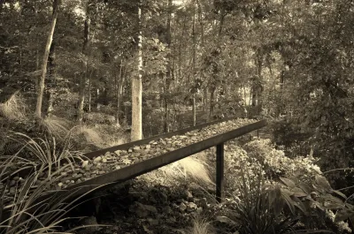 Woodland Rain Gardens — Landscape Design project by CARBO Landscape Architecture