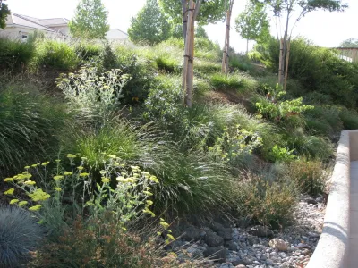 Carmichael Environmental - Patio Design & Installation in Los Osos, CA
