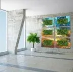 Coast Live Tropicals - Landscape Construction in Flagstaff, AZ