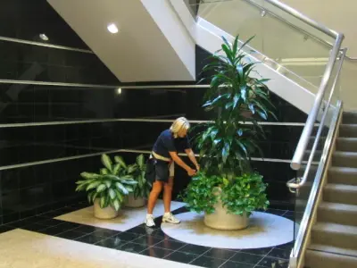 Coast Live Tropicals - Landscape Construction in Flagstaff, AZ