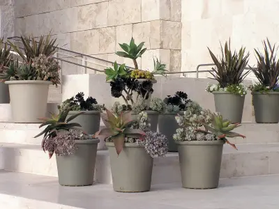 Coast Live Tropicals - Landscape Construction in Flagstaff, AZ