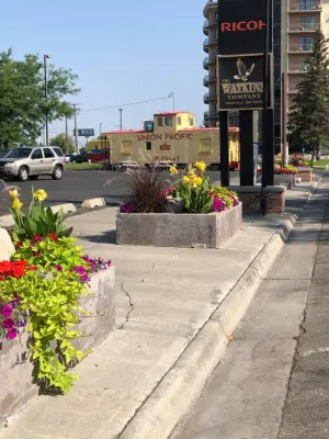 Business Initiative — Landscape Construction project by Norlen Landscaping, LLC