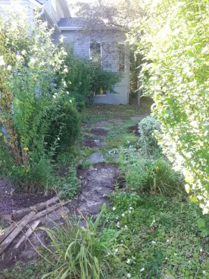 Curb Appeal of CNY,LLC - Tree & Shrub Care in Syracuse, NY
