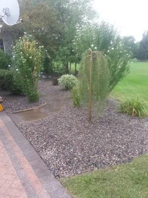 Curb Appeal of CNY,LLC - Tree & Shrub Care in Syracuse, NY