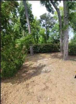 Envision Outdoor Spaces - Custom Home Builders in Wilmington, NC