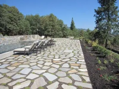 Carols Colors Landscaping - Tree & Shrub Care in Ashland, OR