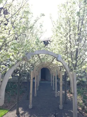 Vidosh North LLC - Tree & Shrub Care in Petoskey, MI