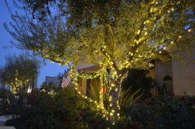 Kaylor Landscape + Christmas Decor - Design-Build Services in Porterville, CA