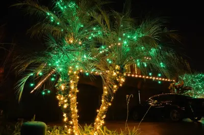 Kaylor Landscape + Christmas Decor - Design-Build Services in Porterville, CA