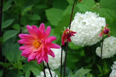 Meissner Landscape, Inc - Landscape Construction in Sturgeon Bay, WI