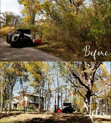 Ideal Land Management Services - Tree & Shrub Care in Reedsburg, WI
