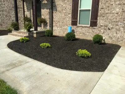 Dotson Landscaping - Tree & Shrub Care in Union City, TN