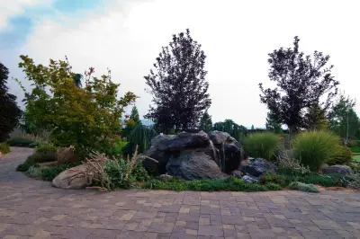 Reno Green Landscaping - Tree & Shrub Care in Reno, NV