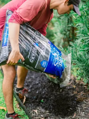 Terraluxe | Myrtle Beach Landscaping & Lawn Care - Carpentry & Woodworking in Myrtle Beach, SC