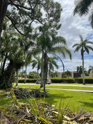 Tree Leaves Landscaping LLC - Landscape Construction in Fort Myers, FL