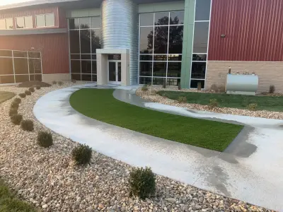 Sustainable Plant-Based Turf — Landscape Construction project by Boulder Creek Lawn & Landscape