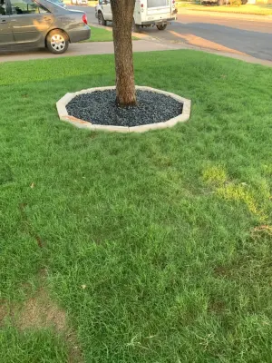 Athos Logostics - Tree & Shrub Care in Midland, TX