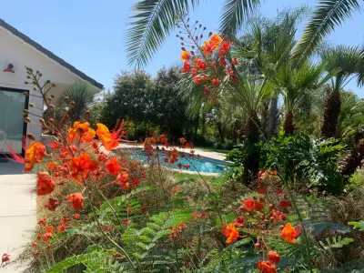 Valley Pools Central — Landscape Construction project by Kaylor Landscape + Christmas Decor