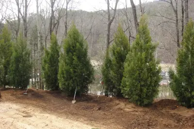 Kleeb Chattanooga Tennessee — Landscape Construction project by Metro Lawn Care