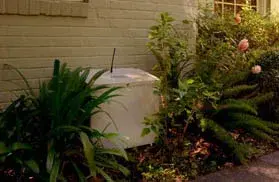 Ron's Land and Lawn - Tree & Shrub Care in Duson, LA