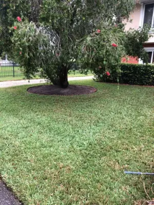 Terrascapes - Landscape Construction in Ellenton, FL