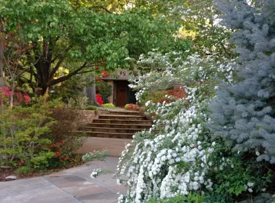 Kingdom Landscape - Landscape Construction in Tulsa, OK