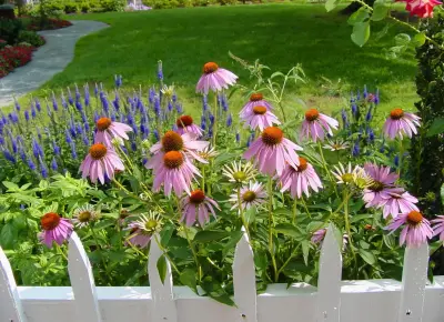 Garden Design — Landscape Construction project by Kingdom Landscape