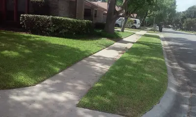 James Lawn Service - Tree Planting & Transplanting in Corpus Christi, TX