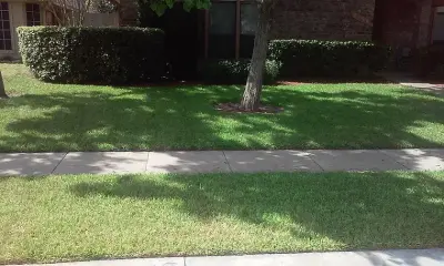 James Lawn Service - Tree Planting & Transplanting in Corpus Christi, TX