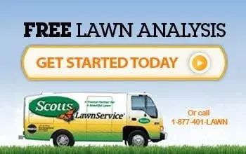 Scotts lawn service of Amarillo - Tree & Shrub Care in Amarillo, TX