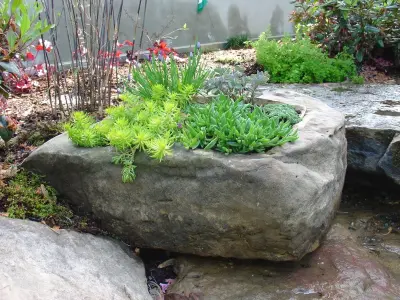 Louisville Home — Landscape Construction project by Landscapes By Dallas Foster, Inc