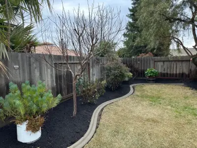 R&D Landscaping - Tree & Shrub Care in Denair, CA