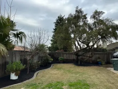 R&D Landscaping - Tree & Shrub Care in Denair, CA