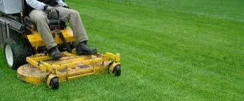 Mayes & Sons Lawn care - Junk Removal & Hauling in Amarillo, TX