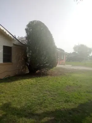 My Initiative — Landscape Construction project by Mayes & Sons Lawn Care