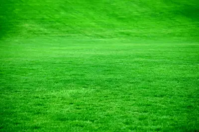 DP Landscaping Pocatello - Design-Build Services in Pocatello, ID