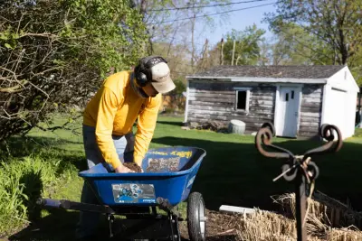 Lawnade Lawn Care Service - Tree & Shrub Care in Grosse Pointe, MI