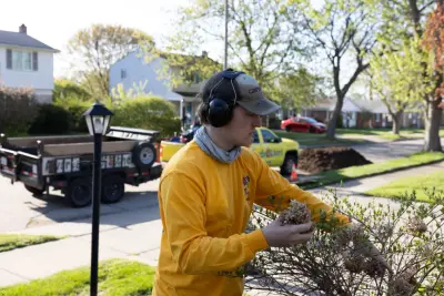 Lawnade Lawn Care Service - Tree & Shrub Care in Grosse Pointe, MI