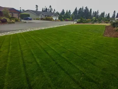 Choice Landscapes LLC - Tree & Shrub Care in Mount Vernon, WA