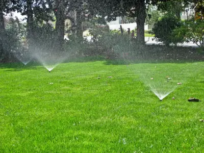 Watered Grassy Areas — Landscape Construction project by Choice Landscapes LLC