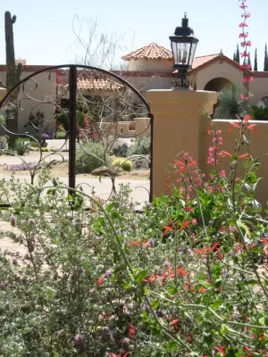 Sonoran Gardens Landscape, Design & Construction - Custom Home Builders in Tucson, AZ