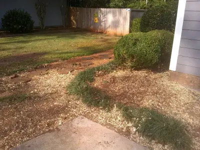 ProEdge+ Landscaping & Grounds Maintenance LLC - Tree & Shrub Care in Leesburg, GA