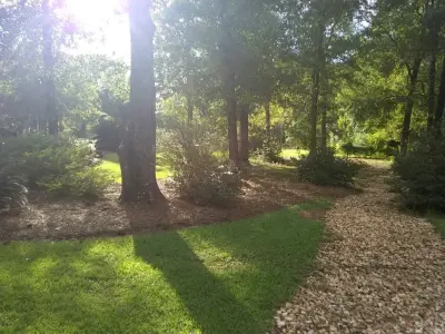 ProEdge+ Landscaping & Grounds Maintenance LLC - Tree & Shrub Care in Leesburg, GA