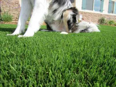 SYNLawn of Central California, Inc. - Landscape Construction in Clovis, CA