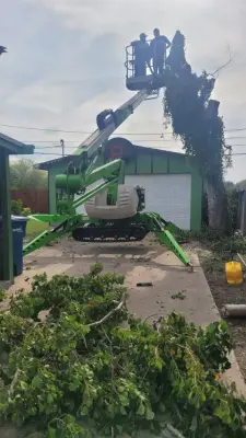 Hillhouse Landscapers - Landscape Construction in Corpus Christi, TX