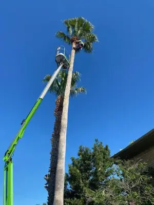 Hillhouse Landscapers - Landscape Construction in Corpus Christi, TX