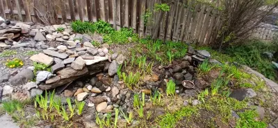 Pond Service: Then and Now — Landscape Construction project by Promise Landscape LLC