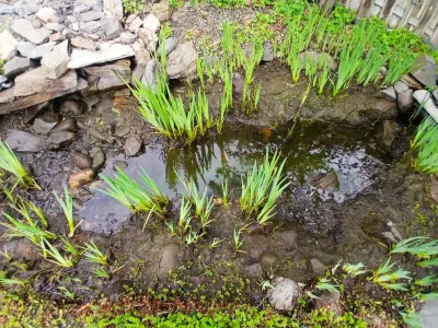 Promise Landscape LLC - Tree & Shrub Care in Pullman, WA